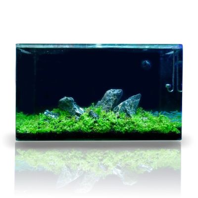 All in One 80 Peninsula