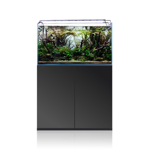 SET Gran Cubic Experience